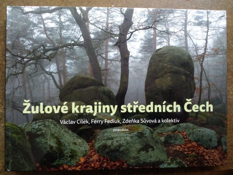 IMG_20190516_095055-scaled